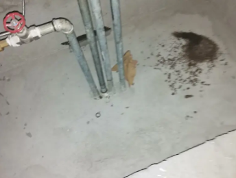 康巴什卫生间测漏水价格明细